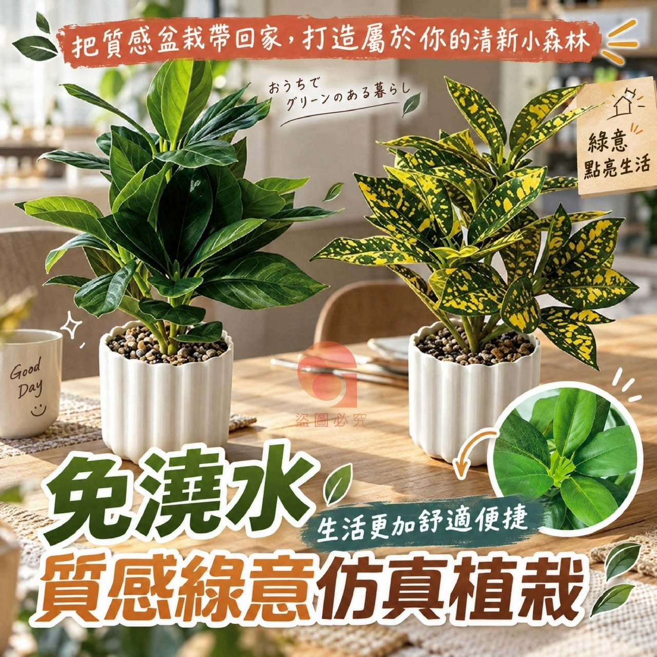 預購-10/05免60UP▲B4-AQ3767-免澆水-質感綠意仿真植栽