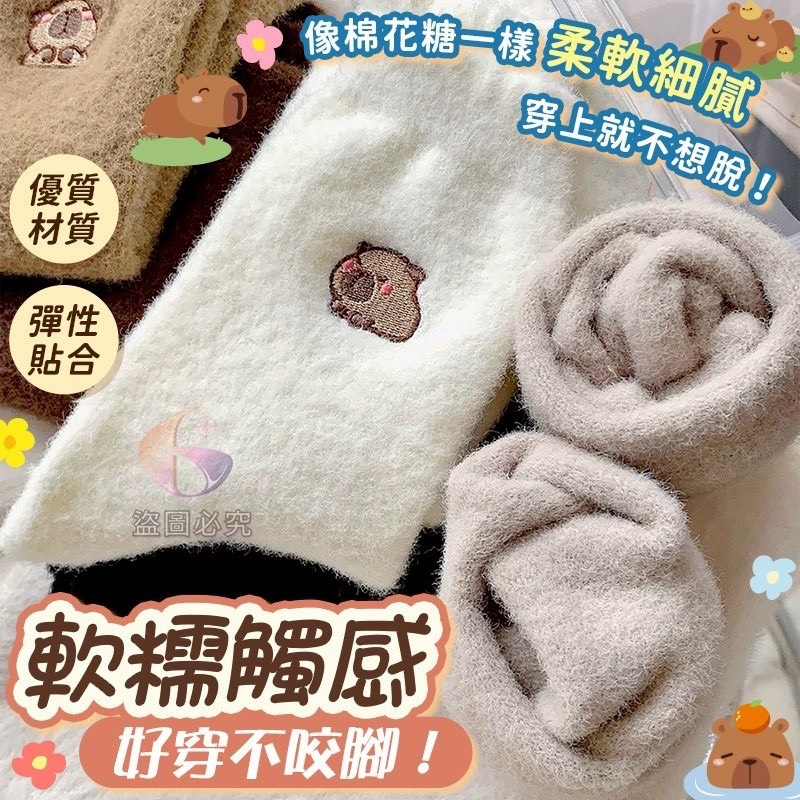 預購-11/20免▲N5箱-水豚軟糯加厚保暖襪5雙/包