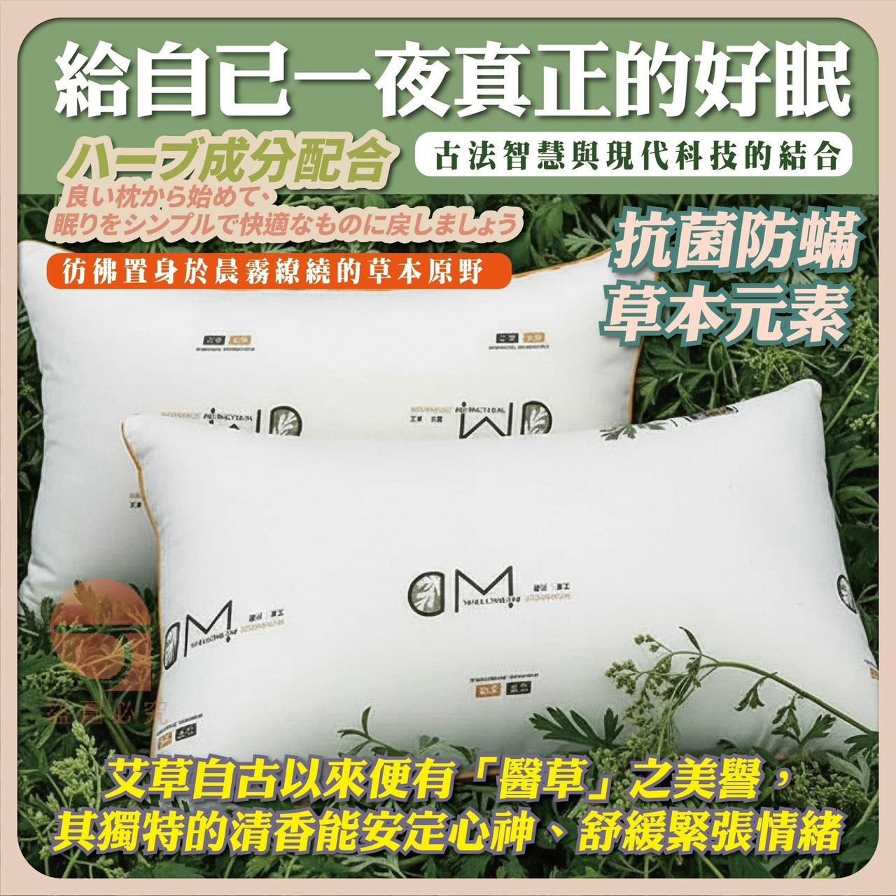 預購-10/26免30▲後-NTQ053-艾草抗菌防蟎枕