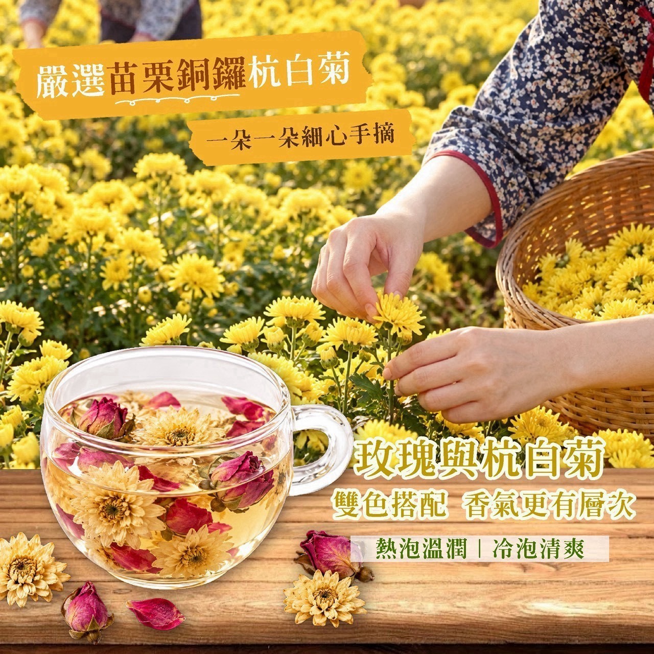 預購-09/28免30UP▲小紅書📚爆款🔥玫好菊香手摘花55g