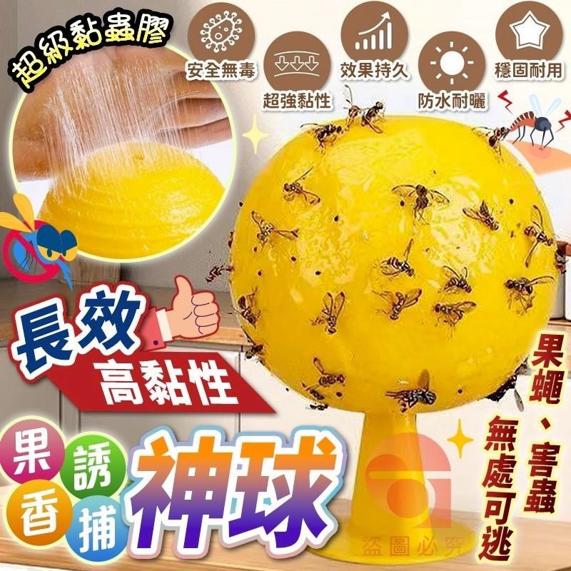 預購-05/11免90UP▲後-果香誘捕神球(6個)